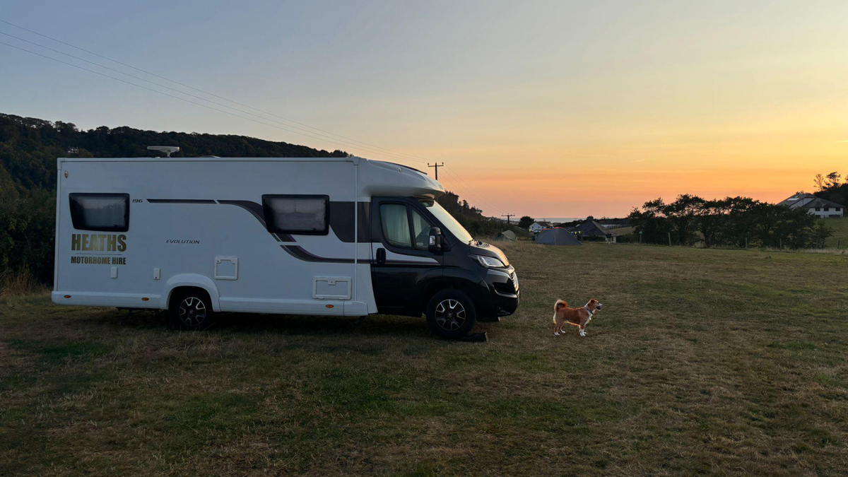 Travelling with a Dog in a Motorhome: Everything You Need to Know